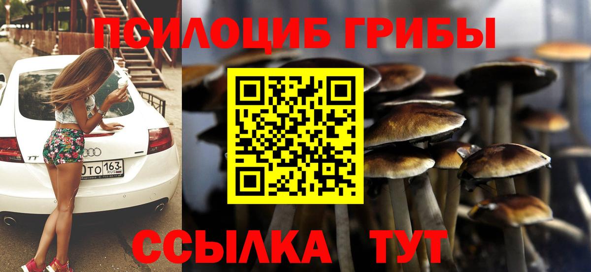Галлюциногенные грибы прущие грибы Ростов-на-Дону